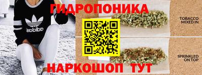 альфа пвп Беслан