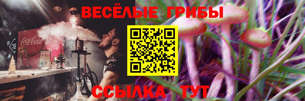 Галлюциногенные грибы прущие грибы  Вход с VPN  Белая Калитва 